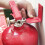 Multipurpose Fire Extinguishers Brackets 4 Packs Sturdy Fire 7