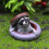 Decoratieve putdeksel wasberen standbeeld hars beeldje voor 7