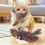 Interactively Plush Cats Toy Realistic Bird-Little Penguins 4