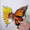 Multicolored Acrylic Butterfly Sunflowers-green moth 6