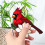 Potted Plant Insert Bird Planter Decoration Stained Crafts-8 2