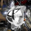 Motorcycle Front Auxiliary Light External Headlight for  GN 125 cm 125 Side Light 4