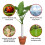 6 PCS Tree Trunk Protector, Plastic Spiral Tree Guard-Tree Bark Protector Tube Wraps to Protect Saplings Plants 3