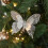 Festival Butterfly Tree Ornament-  Gold type A 4