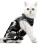 Combinaison de récupération pour chat, taille S, camouflage, modal 7