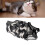 Combinaison de récupération pour chat, taille S, camouflage, modal 12