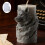 Detailed Wolf relieved Silicone Mould Suitable For Handcraft 6