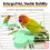 Bird Cage Chewing Perch Toy Safe For-Blue leaves shape 7