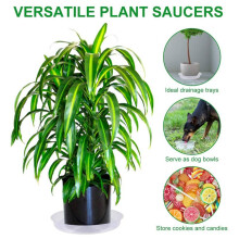 30 Stks 8 Inch Clear Plant Schotel Plastic Lekbakken voor Indoor en Outdoor Planten voor Holding Succulente Bloem Planter Pot