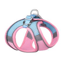 Reflective Breathable Mesh Dog Harness Leash Set, XXS, 23‑29cm Chest