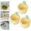 Cactus Sink Drain Filter, Push to Dump, Sink Drain Basket Filter, Kitchen Garbage Collection Filter Yellow 4