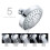 2X Shower , High Pressure 5 Settings Showerhead with Adjustable Swivel  Joint 7