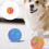 Automatic Bouncing Ball for Dog Toy With Interactive-Black 3
