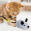 Laufende rollende Katzenmaus, kaubeständige-Grau 3