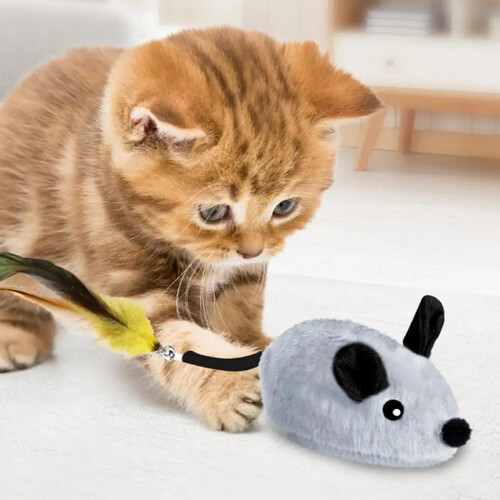 Laufende rollende Katzenmaus, kaubeständige-Grau 2
