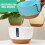 Double Chain Hanging Planter Pot Home 7