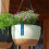 Double Chain Hanging Planter Pot Home 2