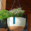 Double Chain Hanging Planter Pot Home 11