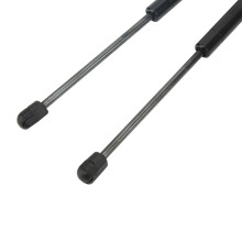 Pair Hydraulic Lift Supports 81161 C1000