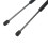 Pair Hydraulic Lift Supports 81161 C1000 1