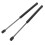Hood Lift Supports 2 Pack Sonata 2015-17 4