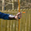 12Pièces Embouts Flèches Fléchettes Orange Tir Nature 6