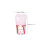 8Pcs Resin Root Canal Model Assorted Color for Student Practice 2