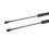 Tailgate Gas Strut Prius 2010-2015 1