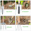 Das transportable Gartenset enthält eine undurchlässige-Grün 7