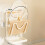Modern Strategy 3 Rank Wall Shelf for Kitchen Storage with-QH 4