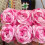 5Rolls Colored Acrylic Yarn Anti Pilling Dyed Milk-Section 8 5