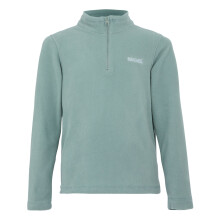 (9-10 Years, Glacier) Regatta Great Outdoors Childrens/Kids Hot Shot II Half Zip Fleece Top
