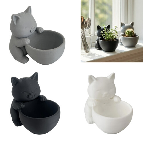 Pot de fleur de plante charnue d'océan de chaton en-Gris 2