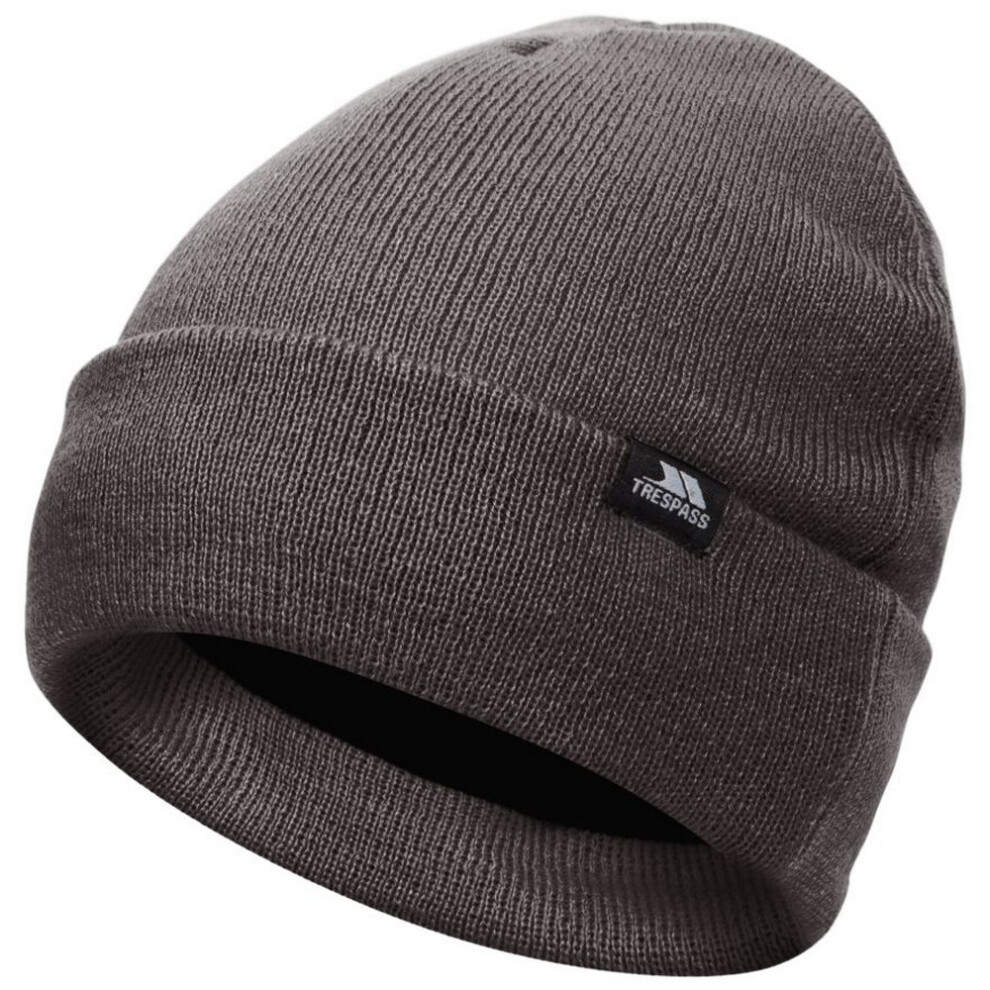 Trespass (One Size, Storm Grey) Unisex Adult Littlebrook Beanie