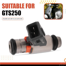 Automotive Fuel Injector Nozzle for Gilleh PI8732885 GTS250 300 IWP 182 IWP182