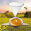 2X Fiber Beekeeping Honey Strainer Filter Screen Purifier Apiary Equipment Tool Colanders Kitchen Gadget 4