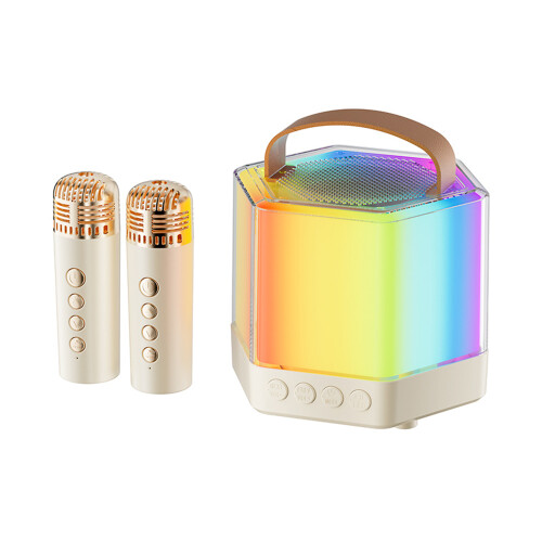 Set Microfono Karaoke Wireless 5W Stereo Luce RGB 10,4cm Nero 2