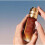 Estee Lauder Estee Lauder Advanced Night Rescue Solution 20ml 2