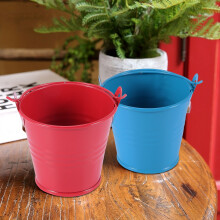 12pcs Jardiniere pour Fleurs Seaux Metal Decoration De Table (Couleur Aleatoire)
