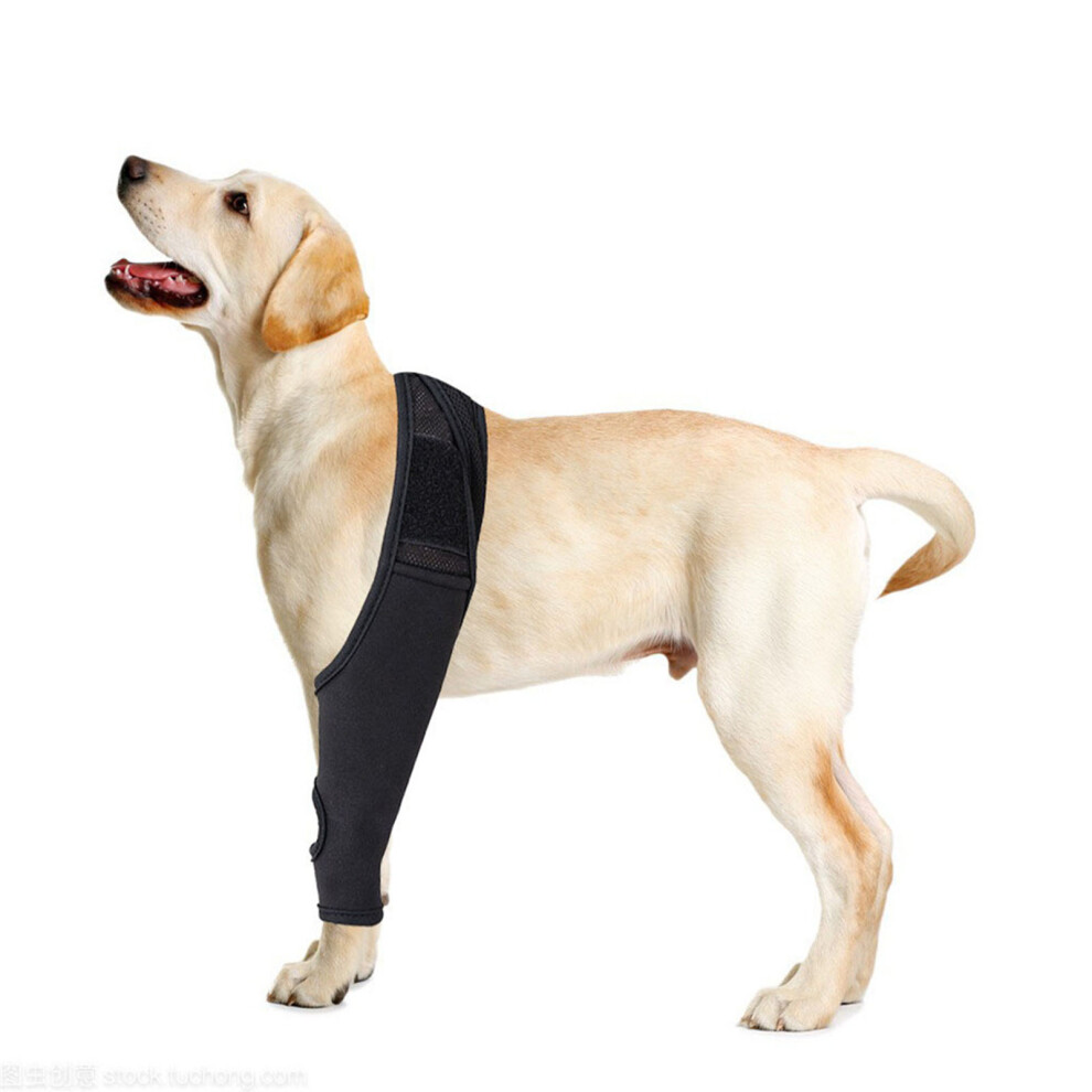 Black Dog Knee Brace Support Xl Neoprene Wound Recovery Aid