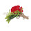 5 Plastic Boutonnieres Pin for Suit 1