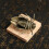 Oxidation Resistant Brasses Cicada Sculpture Solid Home 4