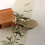 Oxidation Resistant Brasses Cicada Sculpture Solid Home 5