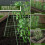 48 Inch A Frame Versatile Garden Trellis Heavy Duty with Net 4