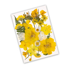 DIY-Set mit natürlichen getrockneten Blumen, künstlerische-D
