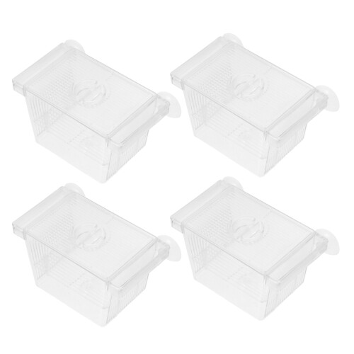 4Pièces Alevins Betta Double Niveau