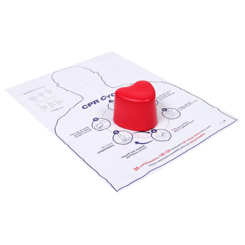 4Sets Plastic Cpr Compression Training Kit Teacher Model with Feedback