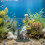 Aquarium Versteck Zement Ornament 6