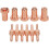 70Pcs Plasma Cutting Consumables for Cutting Torch PT31 Plasma Cutter Cutting Torch Consumables 1