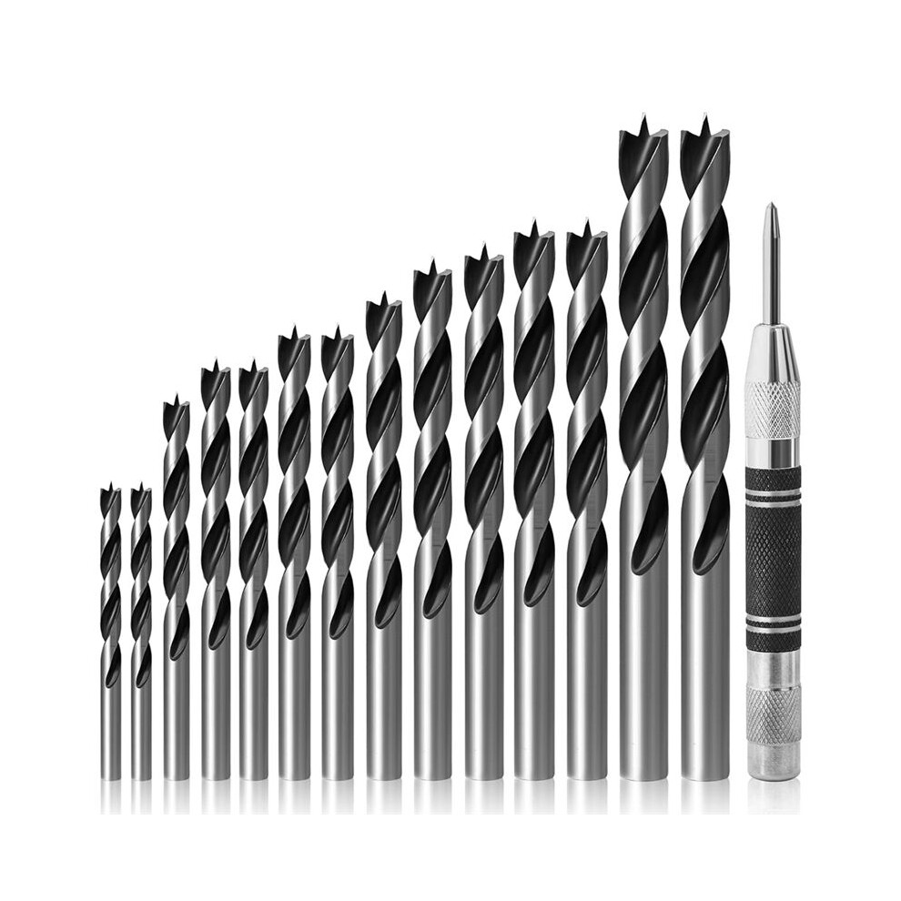 14Pcs Wood Drill Bit Set With Center Punch, With Double Flutes Design For Carpenter Woodworking And All Types Of Wood 4712033677291